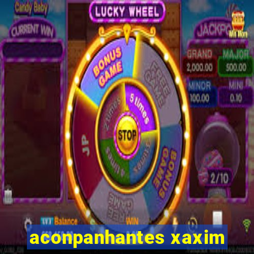 aconpanhantes xaxim